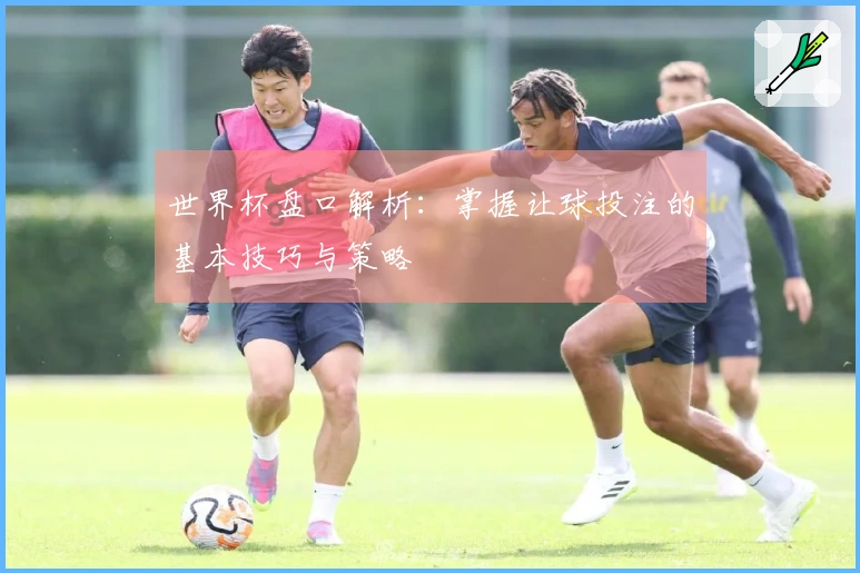 世界杯盘口解析：掌握让球投注的基本技巧与策略