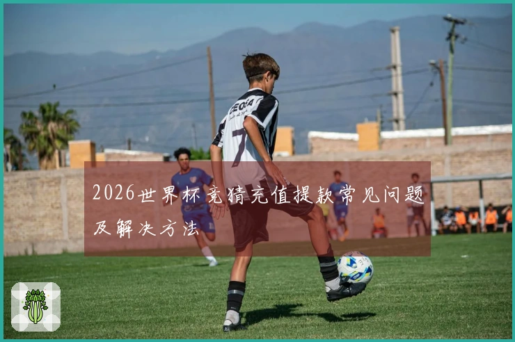 2026世界杯竞猜充值提款常见问题及解决方法