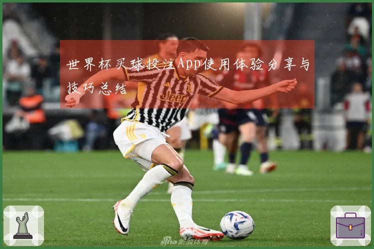 世界杯买球投注App使用体验分享与技巧总结