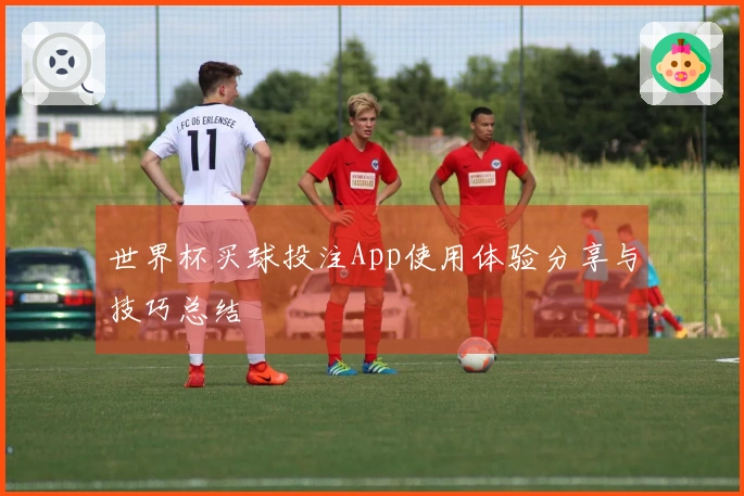 世界杯买球投注App使用体验分享与技巧总结