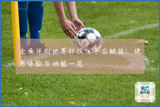 全面评测世界杯投注平台链接：使用体验与功能一览