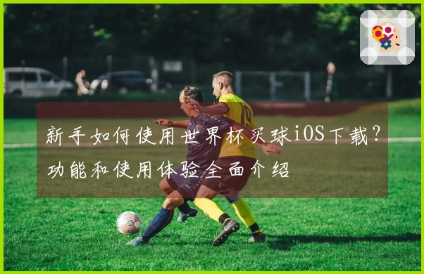 新手如何使用世界杯买球iOS下载？功能和使用体验全面介绍