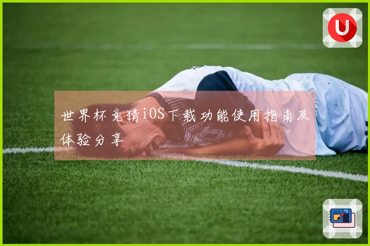 世界杯竞猜iOS下载功能使用指南及体验分享