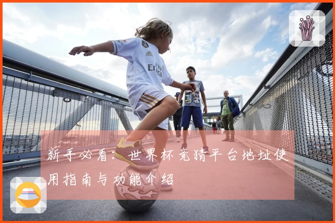 新手必看：世界杯竞猜平台地址使用指南与功能介绍