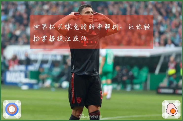 世界杯买球竞猜赔率解析，让你轻松掌握投注技巧