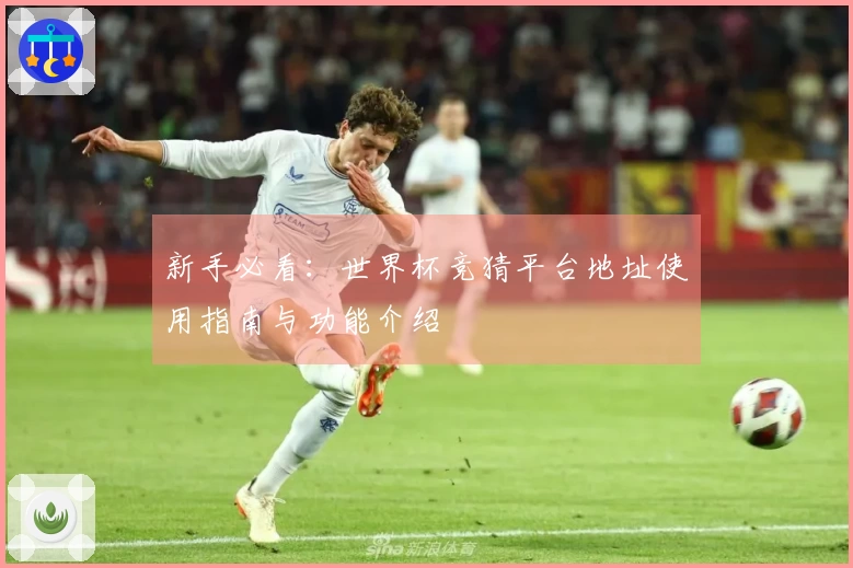 新手必看:世界杯竞猜平台地址使用指南与功能介绍