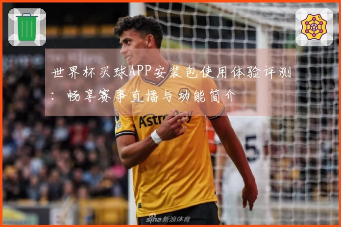 世界杯买球APP安装包使用体验评测：畅享赛事直播与功能简介