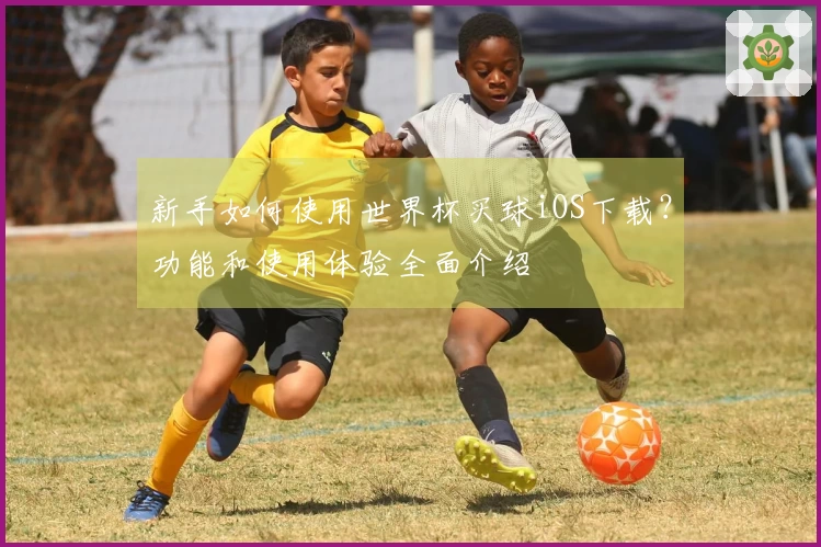 新手如何使用世界杯买球iOS下载？功能和使用体验全面介绍