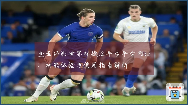 全面评测世界杯投注平台平台网址：功能体验与使用指南解析