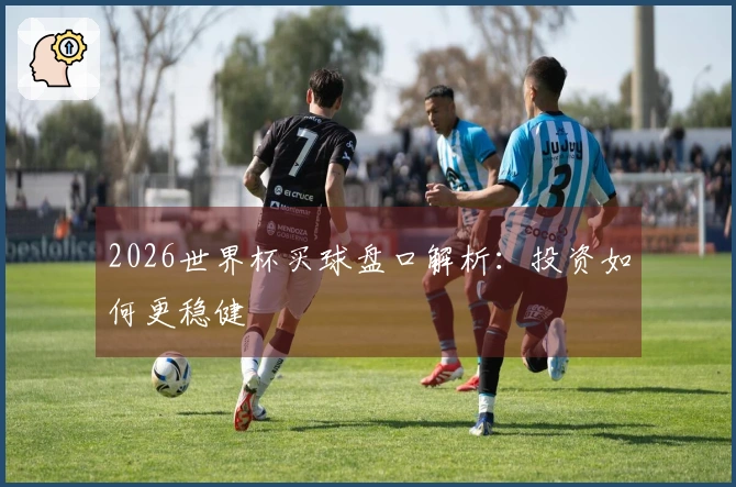 2026世界杯买球盘口解析：投资如何更稳健