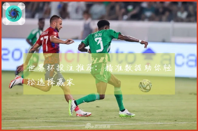 世界杯投注推荐：精准数据助你轻松选择赢家