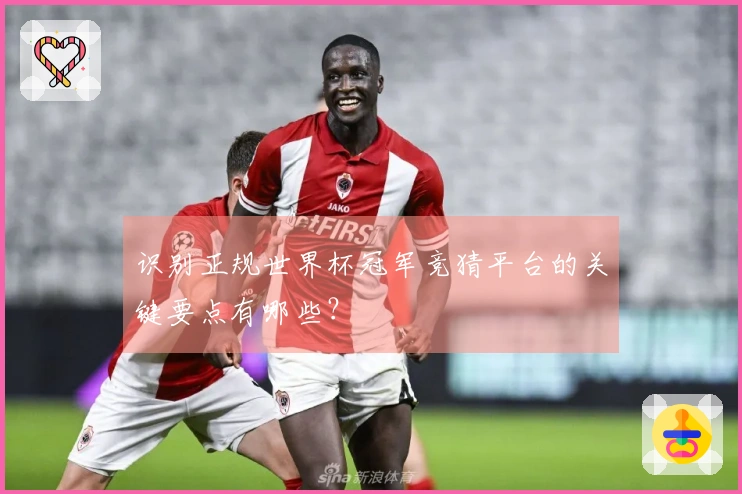 识别正规世界杯冠军竞猜平台的关键要点有哪些？