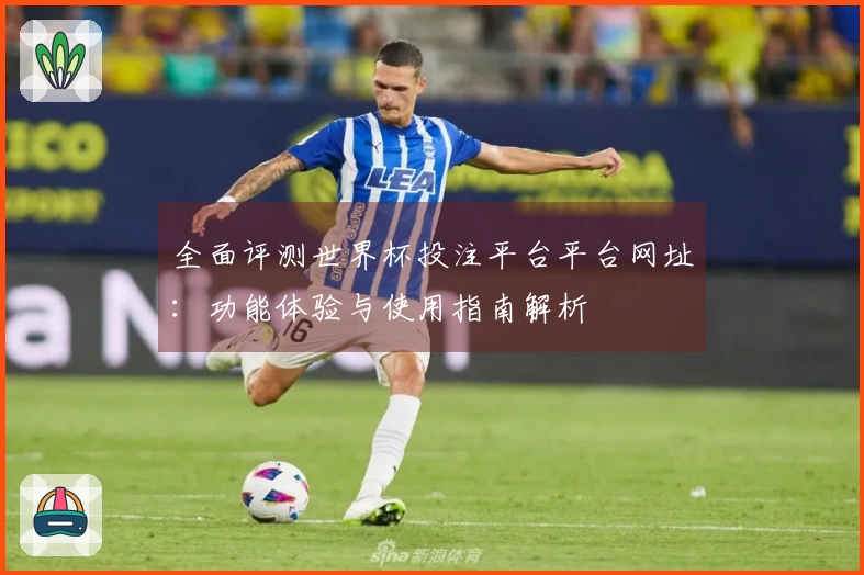 全面评测世界杯投注平台平台网址：功能体验与使用指南解析