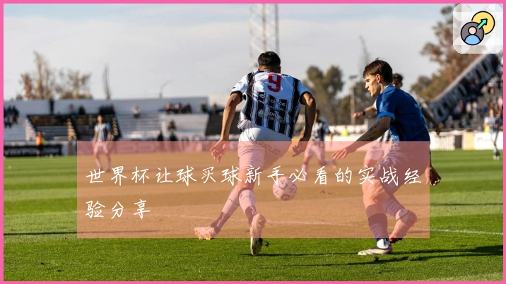 世界杯让球买球新手必看的实战经验分享