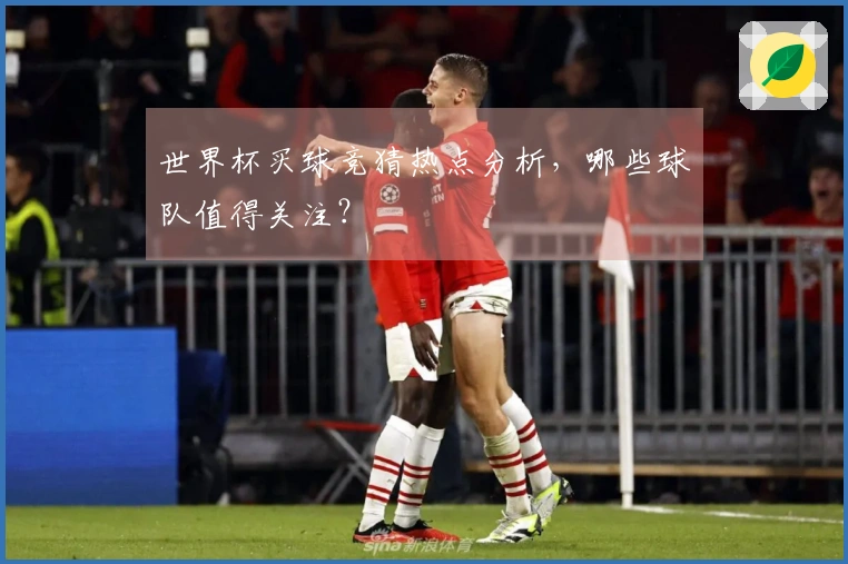 世界杯买球竞猜热点分析，哪些球队值得关注？