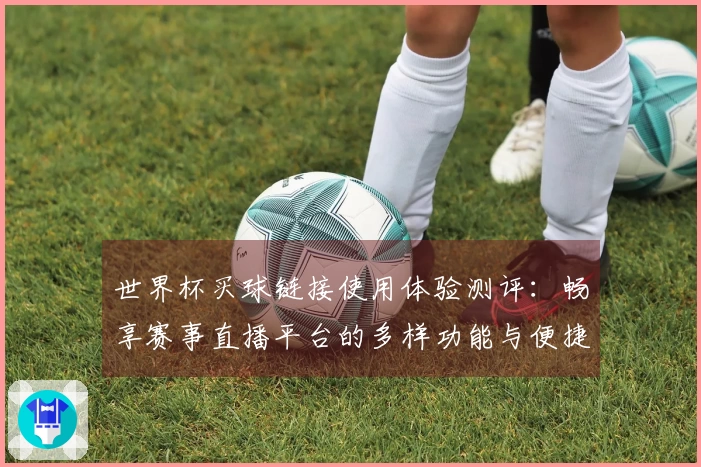 世界杯买球链接使用体验测评：畅享赛事直播平台的多样功能与便捷界面