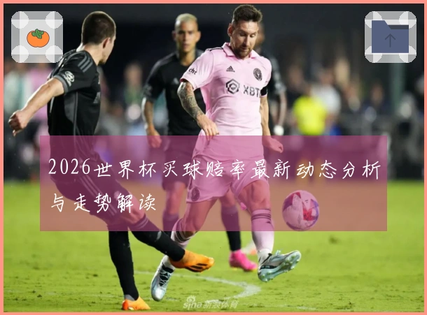 2026世界杯买球赔率最新动态分析与走势解读