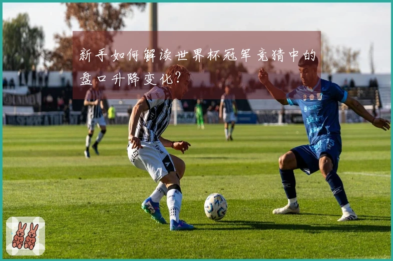 新手如何解读世界杯冠军竞猜中的盘口升降变化？