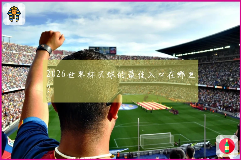 2026世界杯买球的最佳入口在哪里？