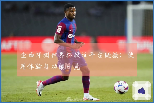 全面评测世界杯投注平台链接：使用体验与功能一览