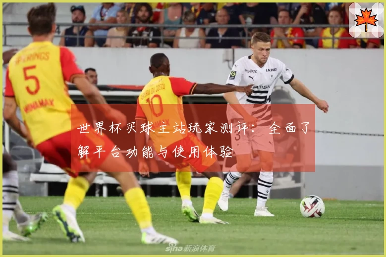世界杯买球主站玩家测评：全面了解平台功能与使用体验