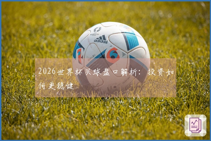 2026世界杯买球盘口解析：投资如何更稳健